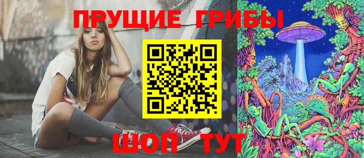 Черняховск  Псилоцибиновые грибы мицелий  Вход с VPN 